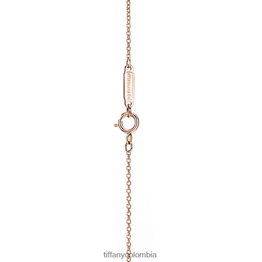 Tiffany colgante circular unisexo 2J40B8328 joyas en oro rosa de 18k