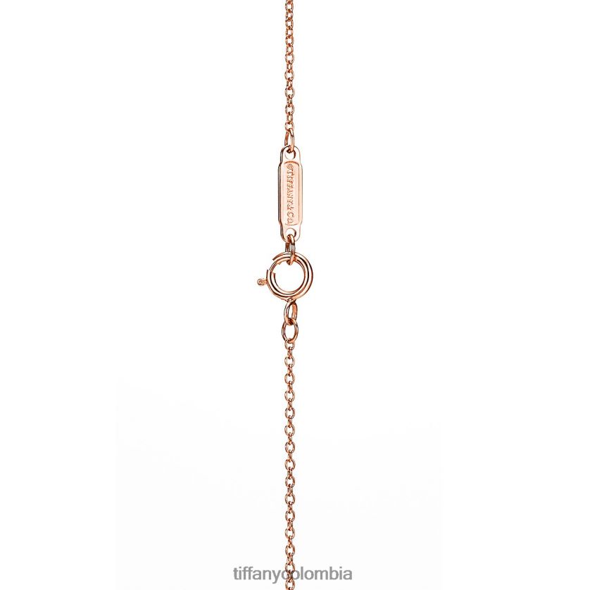 Tiffany colgante circular unisexo 2J40B8467 joyas en oro rosa de 18k