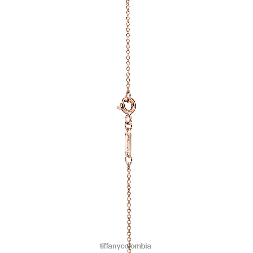 Tiffany colgante con etiqueta de doble corazón unisexo 2J40B8178 joyas en oro rosa, mini