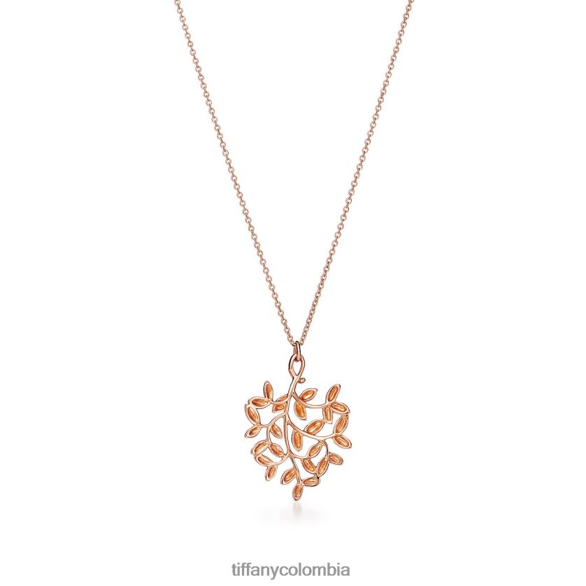 Tiffany colgante de hoja de olivo unisexo 2J40B8205 joyas