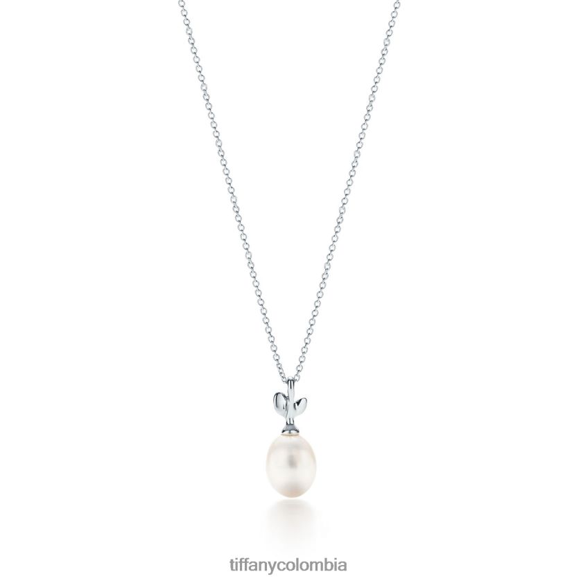 Tiffany colgante de perlas de hoja de olivo unisexo 2J40B879 joyas