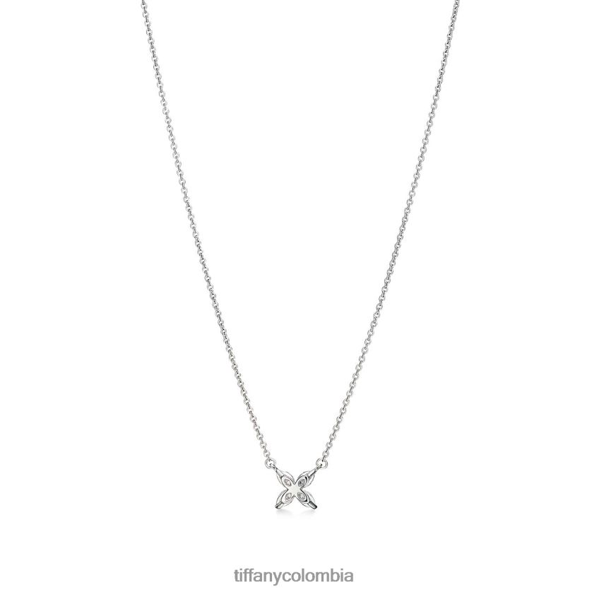 Tiffany colgante unisexo 2J40B831 joyas