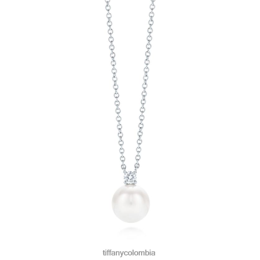 Tiffany colgante unisexo 2J40B846 joyas - Haga un click en la imagen para cerrar