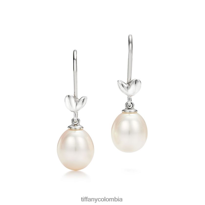 Tiffany pendientes colgantes de hoja de olivo unisexo 2J40B8705 joyas